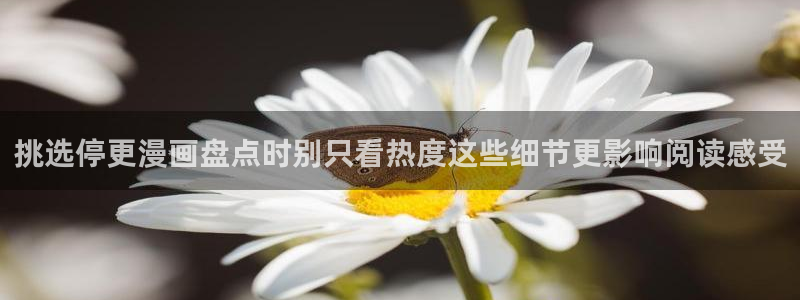 梦漫漫画手机应用