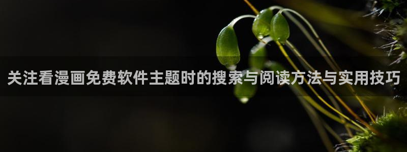 梦漫漫画分类导航