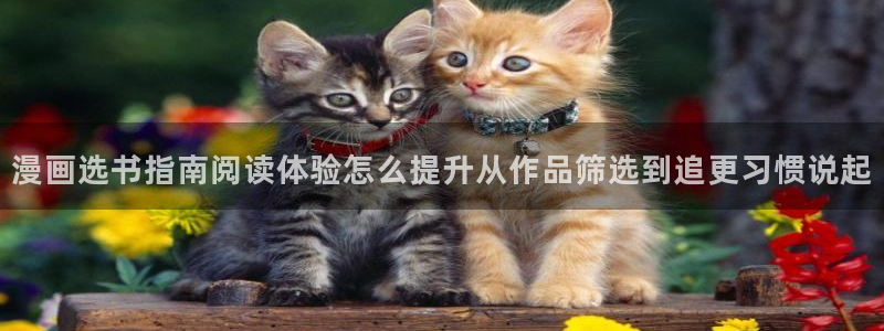 梦漫漫画漫画资讯